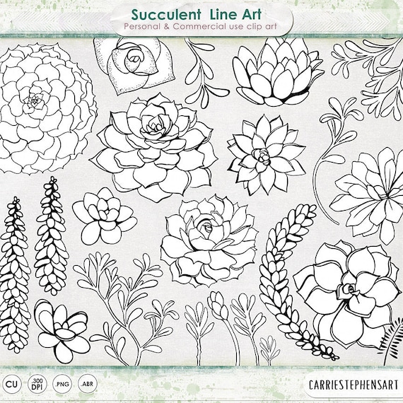 Featured image of post Outline Easy Outline Succulent Drawing Line drawing is very basic but it can be tricky