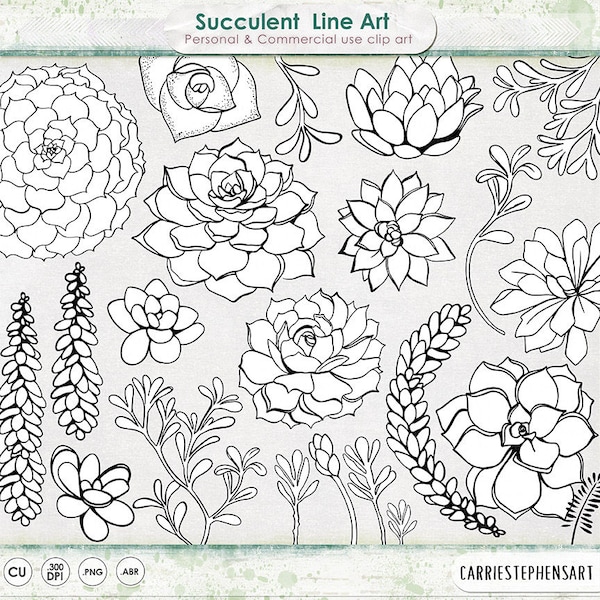 Succulent Line Art, Printable ClipArt Outline, Succulent Flower Line Drawing, Digital Stamps + Photoshop Brushes, Embroidery Art Images