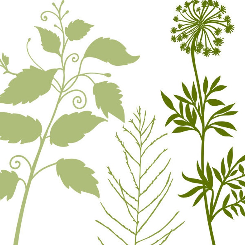 May include: A digital illustration of four different types of green plants. The plants are stylized and have a simple, minimalist design.