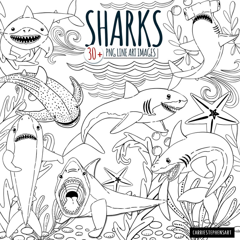 May include: Black and white line art illustrations of sharks, starfish, and seaweed. The text "SHARKS 30+ PNG LINE ART IMAGES" is at the top of the image.
