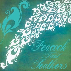 May include: A teal and white peacock tail feather design on a green background. The text "Peacock Tail Feathers" is written in teal cursive.