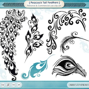 May include: A set of six black and white peacock feather clip art images. The feathers are stylized and have a decorative, ornate design. The images are perfect for crafting, scrapbooking, and digital design.