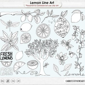 Fresh Lemon Digital Stamps, Lemon Tree Line Art & Silhouettes, PNG + Photoshop Brush, Fruit Tree Branch, Summer Flower Blossoms