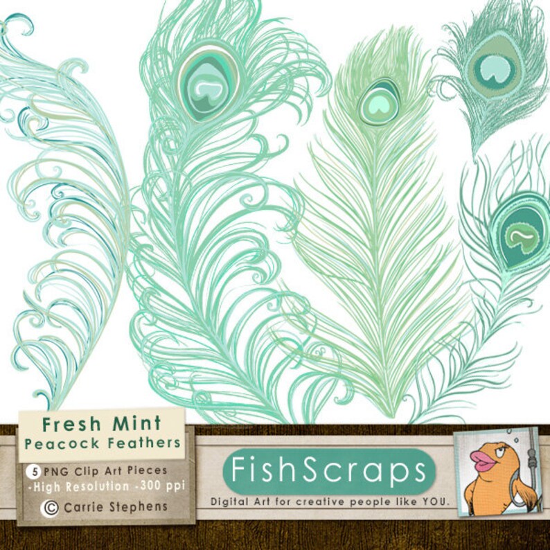 May include: Five digital clip art images of peacock feathers in a mint green color scheme. The feathers are outlined in black and have a swirling pattern. The text "Fresh Mint Peacock Feathers" is at the bottom of the image.