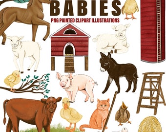 Baby Animal ClipArt PNG