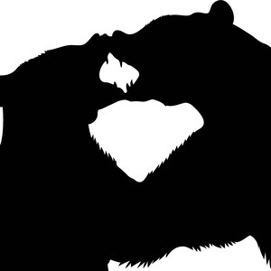 Op de afbeelding: Silhouet van twee beren die elkaar aankijken met hun bek open, waardoor hun tanden zichtbaar zijn. De beren staan in een vechtpositie.
