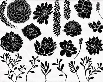 Succulent ClipArt, Flower Silhouette Images + Photoshop Brush, Hens & Chicks, Cactus Plant Digital Stamps, Wedding Invitation DIY Printable