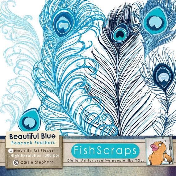 Blue Peacock Feather Clip Art Digital Graphics For Commercial Use Royalty Free Small Business Navy Royal Blue Bird By Carriestephensart Catch My Party
