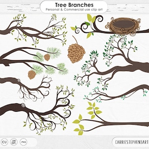 Image clipart branche d'arbre, nid d'oiseau et pomme de pin, clipart arbre, branches d'arbre, graphismes numériques d'invitation, forêt boisée fantaisiste