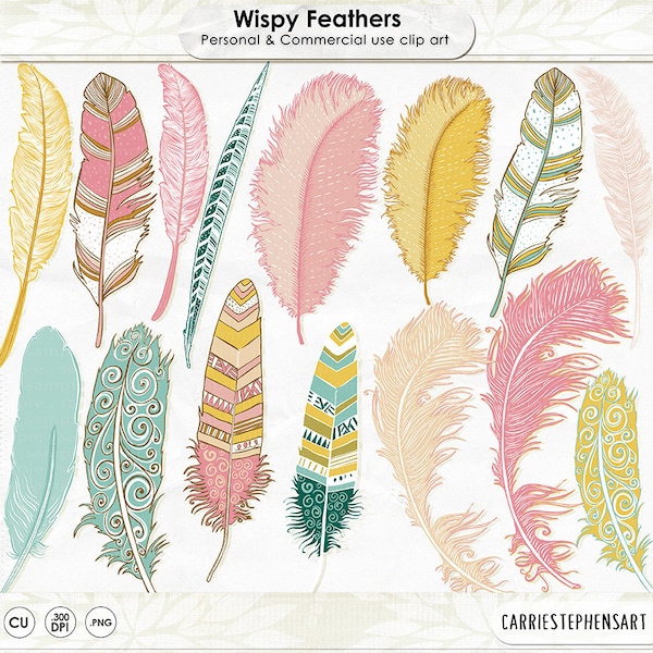 Boho Feather ClipArt, Hand-Drawn PNG Download Printables for Wall Art, Yellow. Pink & Teal Trendy Tribal Digital Planner Graphics