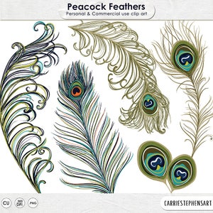 Peacock Feather ClipArt, Feather Illustration, DIY Invitation Graphic Design, Boho Peacock Wedding Clip Art, Commercial Use Image image 1