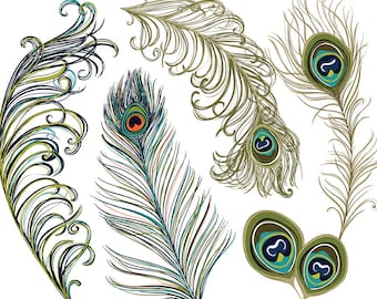 Peacock Feather ClipArt, Feather Illustration, DIY Invitation Graphic Design, Boho Peacock Wedding Clip Art, Commercial Use Image