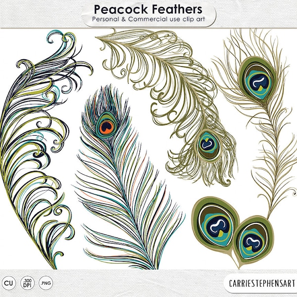 Peacock Feather ClipArt, Feather Illustration, DIY Invitation Graphic Design, Boho Peacock Wedding Clip Art, Commercial Use Image