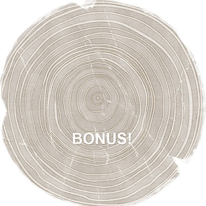 Digitalt papper av organisk natur, trämönsterpapper, fotografibakgrund, skogsbröllop, digital bakgrund för direktnedladdning, neutral bild 5