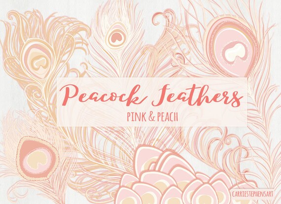 Peacock Feather Clip Art Romantic Pink Peach Feather Digital