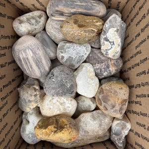 May include: A cardboard box filled with a variety of smooth, rounded river rocks. The rocks vary in color, including shades of gray, brown, and white. The box is labeled with "Priority Mail" and other shipping information.