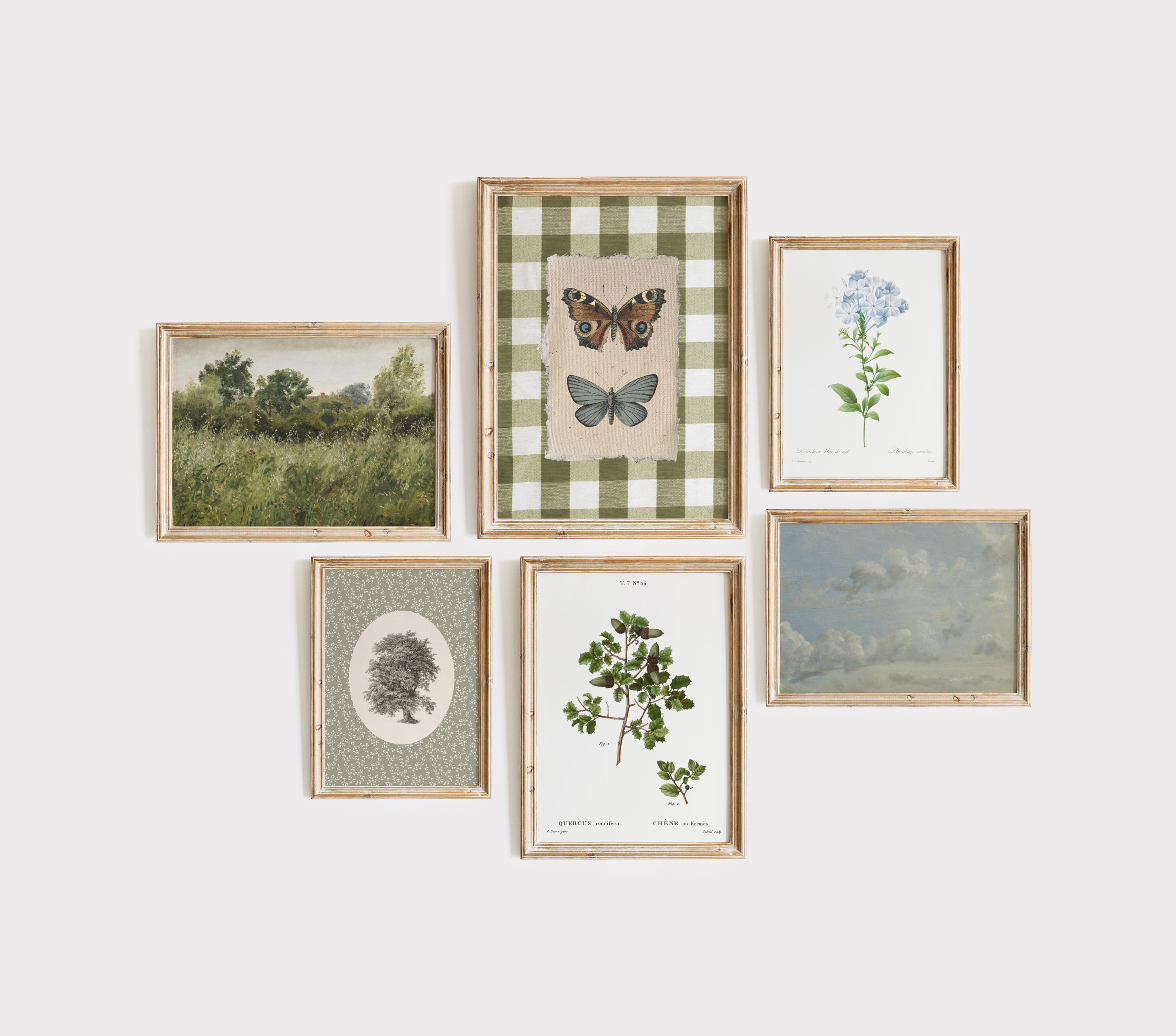 Sage green cottage gallery wall, Set of 6 prints, Farmhouse wall art, Digital cottage art, Gallery prints for digital download