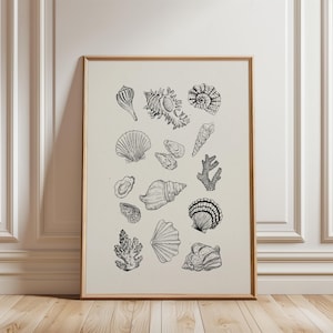 Stampa digitale di conchiglie, poster semplice di conchiglie, arte murale costiera vintage, arte murale digitale scaricabile, arte murale stampabile, stampe costiere