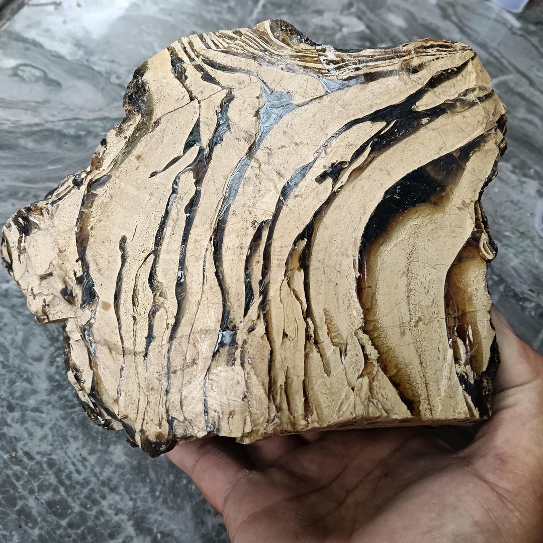 Large Sumatra Amber Rough, Zebra Pattern Stone (1670 Gr) - Etsy