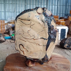 13,3 kg Big Amber Rough,Indonesia Sumatra Amber Rough Raw Stone Gemstone for Collection,Home Decoration,Museum