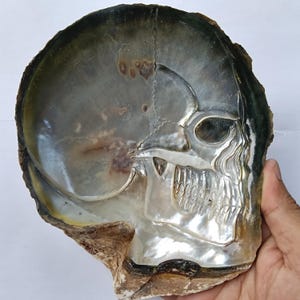 Carved Shell Skull: Natural Sea Pearl Sculpture, Indonesia (26/322gr/180mmx150mmx30mm)