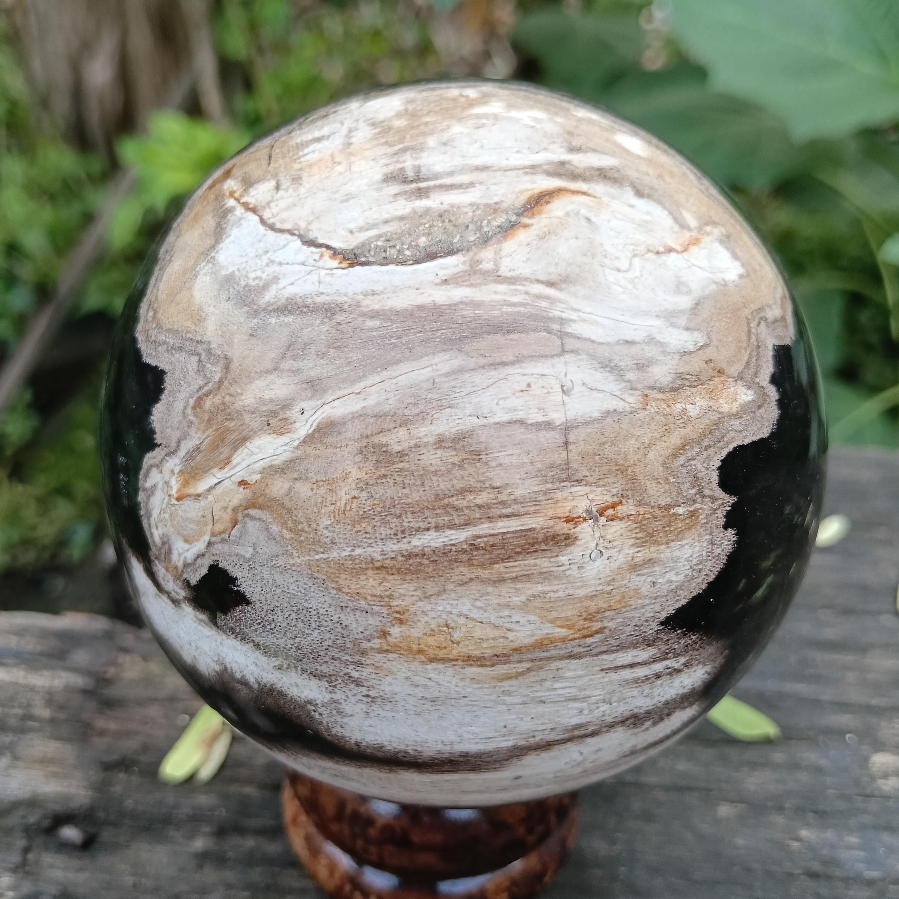 826 Gram Indonesia Petrified Wood Polished,specimen,healing