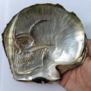 Carved Shell Skull: Sea Pearl Carving, Natural Shell (155x165x25mm)