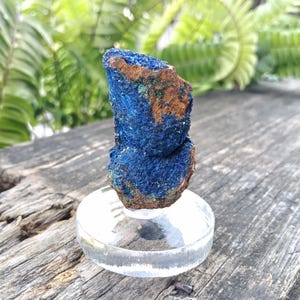 Puede incluir: Un vibrante espécimen mineral de azurita azul con acentos marrones y verdes, exhibido sobre un soporte transparente y redondo. La piedra en bruto se encuentra sobre un fondo borroso de follaje verde y una superficie de madera envejecida.