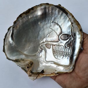 Carved Shell Skull: Sea Pearl Sculpture, Natural Mother of Pearl