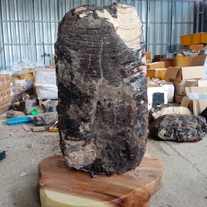 35,2 kg Big Amber Rough,Indonesia Sumatra Amber Rough Raw Stone Gemstone for Collection,Home Decoration,Museum