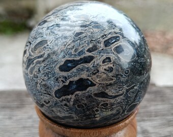 化石化したヤシの根の木の化石と玉髄の水晶球 インドネシア 618 グラム