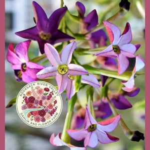 May include: A set of three ceramic mugs with a speckled, matte finish. The mugs are in shades of cream, light gray, and dark gray. Each mug has a simple, minimalist design, perfect for coffee or tea.