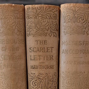 Venta de libros antiguos de Hawthorne: La letra escarlata, La casa de los siete tejados, Musgos de una antigua mansión, colección de volúmenes de tapa dura.