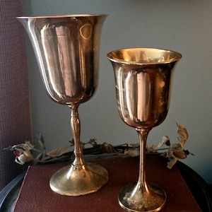 Puede incluir: Dos copas de plata, una más alta que la otra, con un borde acampanado y un tallo delgado. Las copas están sobre una superficie marrón.