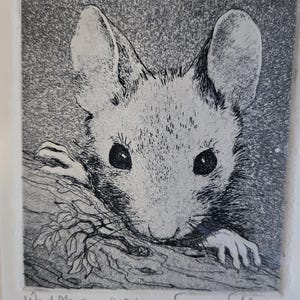 Op de afbeelding: Een zwart-wit ets van een bosmuis die uit een boomtak gluurt. Het kunstwerk is gesigneerd met "Wood Mouse '1990' George Engle".