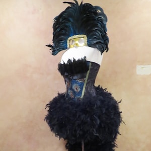 Custom Peacock Princess Circus Magicians Assistant Burlesque Showgirl Dress Victorian Bridgerton Costume or Headpiece option