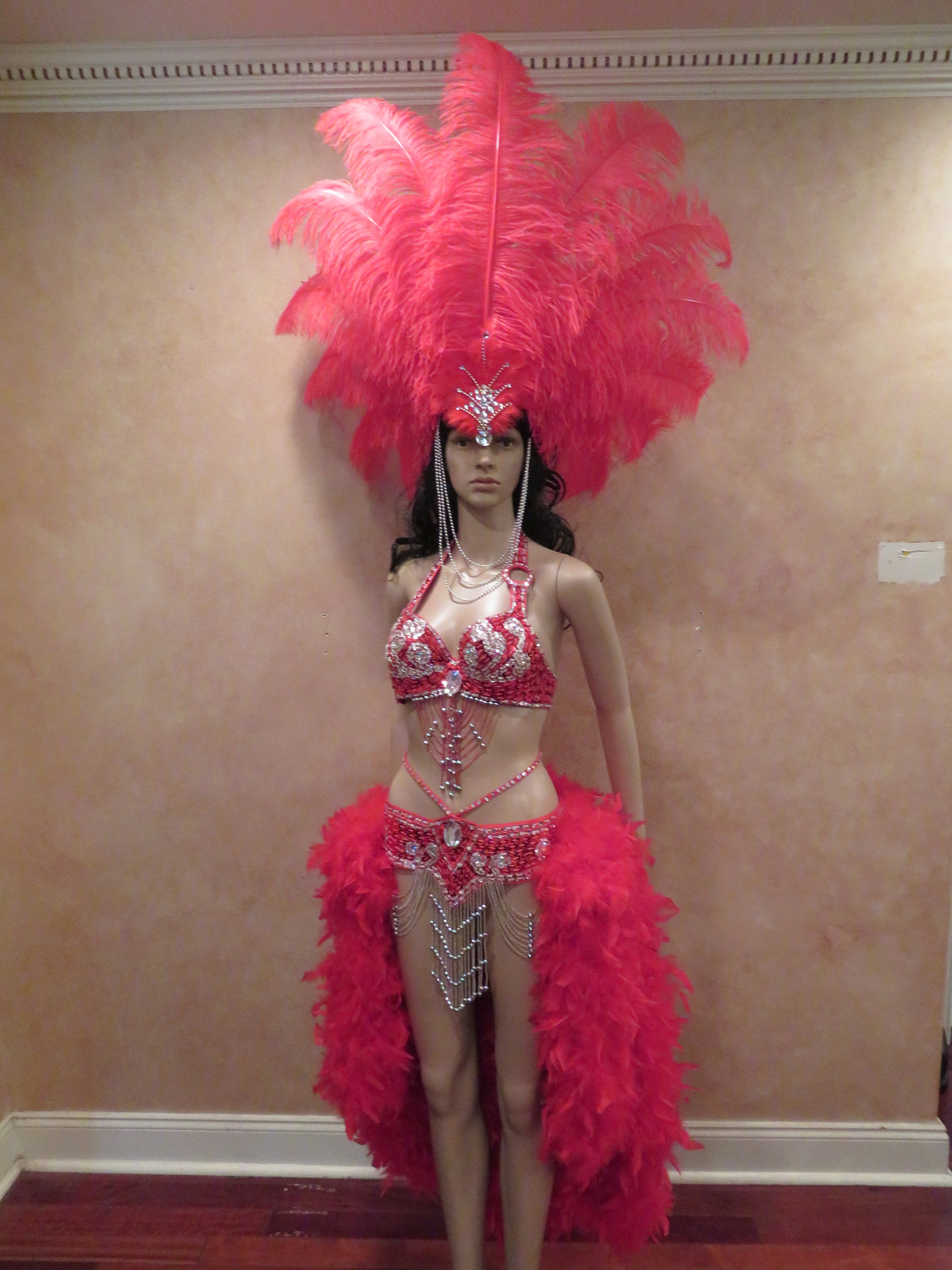 Hand Made Samba Carnival Wire Bra and Panty Hand Beads Passista Pageant  Cabaret Broadway Theater Mardi Gras, Vegas Showgirl C023 