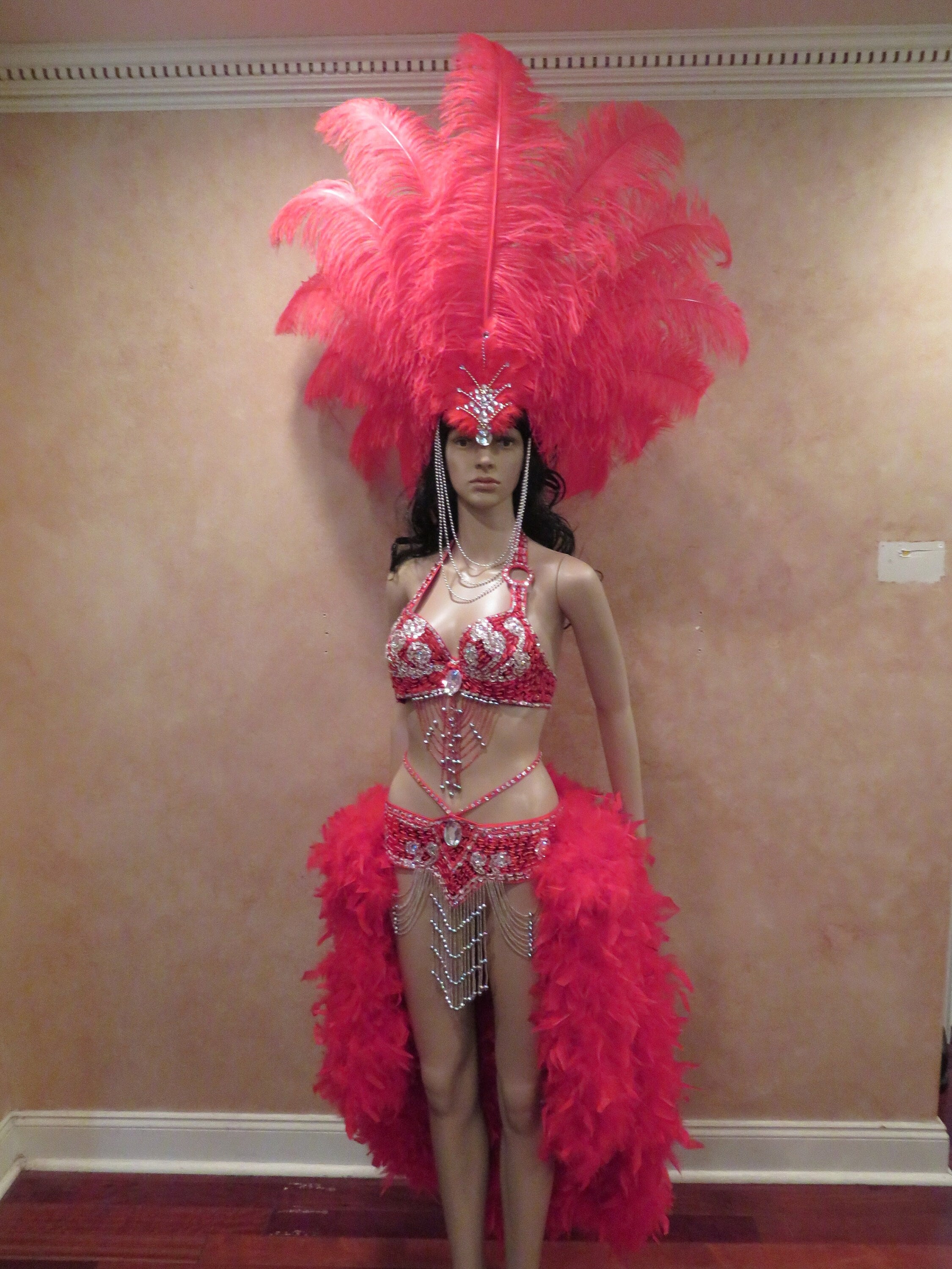 Caribbean Carnival Costume 