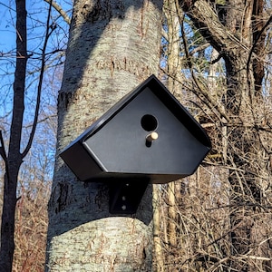 Può includere: Una casetta per uccelli nera e geometrica montata su un tronco d'albero. La casetta per uccelli ha un tetto triangolare, un foro di ingresso circolare e un piccolo trespolo di legno. La casetta è fissata all'albero con una staffa metallica nera.