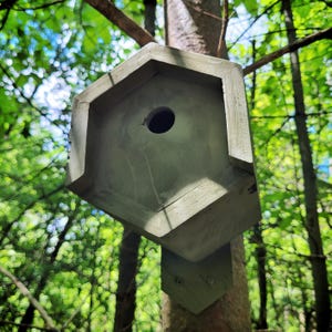 Puede incluir: Una pajarera gris geométrica con un agujero de entrada circular está montada en un tronco de árbol. La pajarera tiene un diseño angular único y está hecha de un material similar al hormigón. El fondo presenta un exuberante follaje verde.