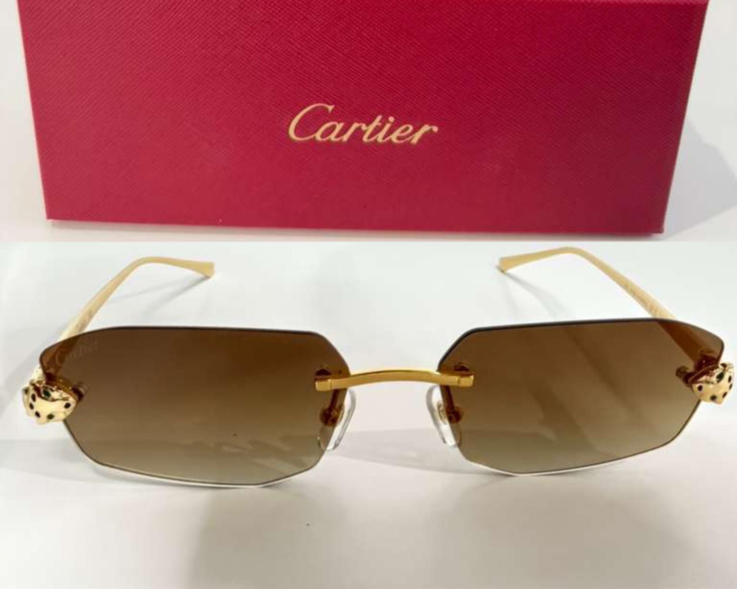 Cartier Unisex Gold Snake Frame Eyewear, Mod#ct0474/s Brown Lens