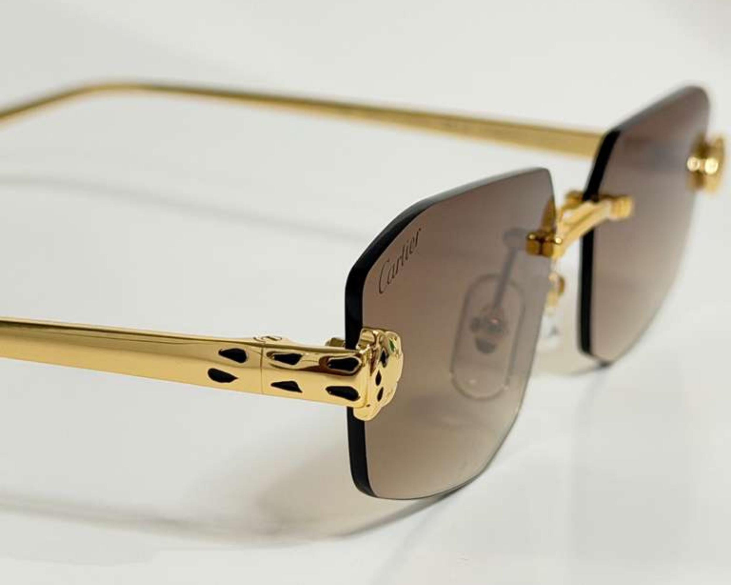Cartier Unisex Gold Snake Frame Eyewear, Mod#ct0474/s Brown Lens