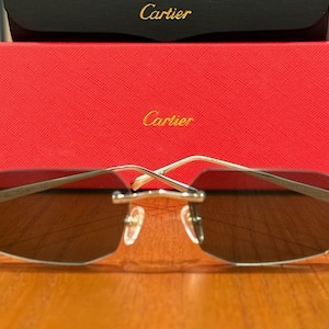 Cartier Snake titanium Rimless Frame Eyeglasses, Green Lens With Silver Temples Cartier Unique Eyewear, Fathers Day Gift, Gift For Her, Him