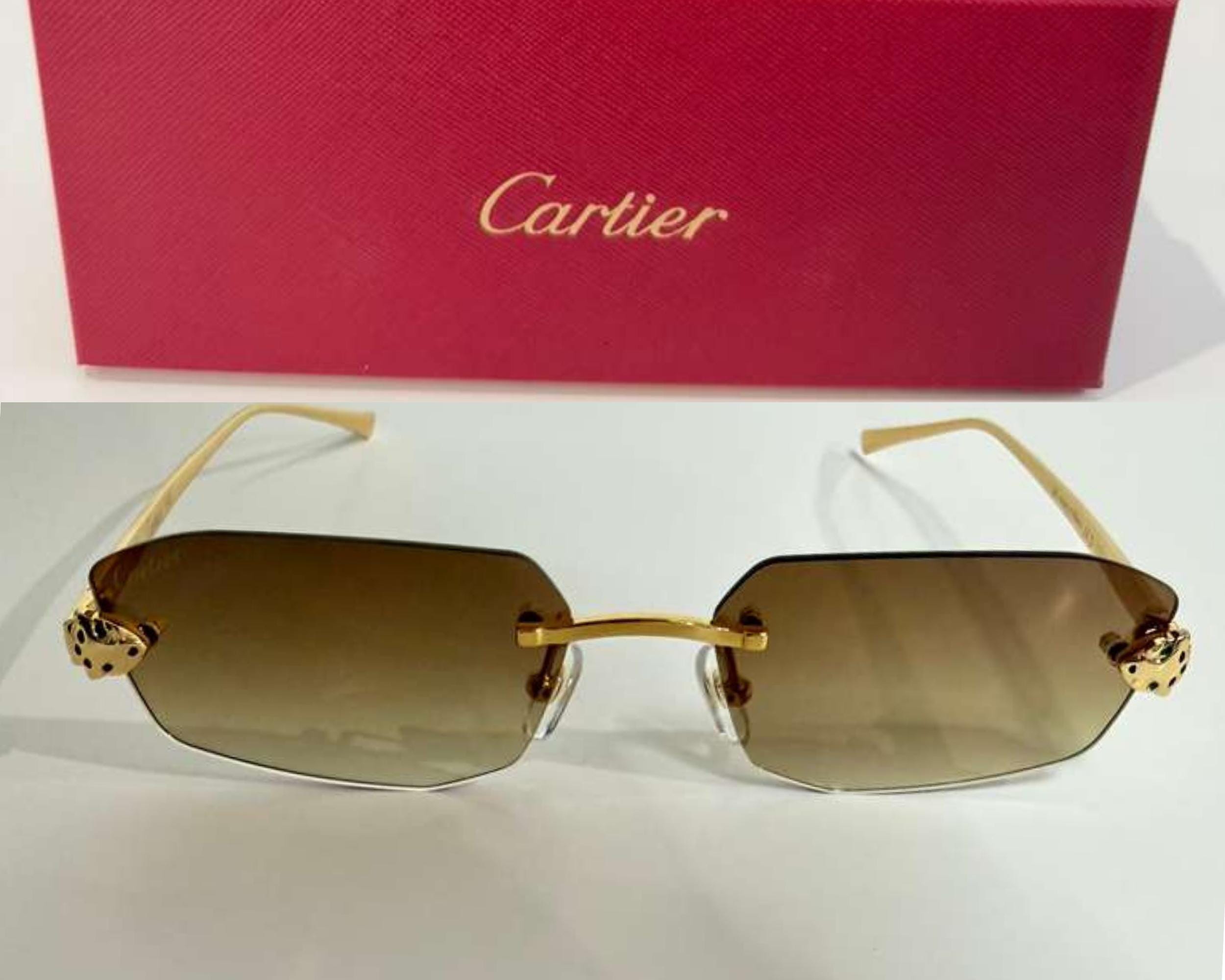 Cartier Unisex Gold Snake Frame Eyewear, Mod#ct0474/s Brown Lens