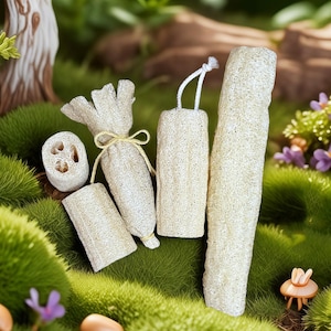 4er Set Luffa Scheiben, Zero Waste Luffa, Luffa Schwamm Umweltfreundliche Luffa Wiederverwendbare 100% natürliche Pflanze, Haustierspielzeug, Handwerksmaterial