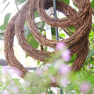 20-30 cm natürlicher Traubenkranz für Blumenarrangements, Wohnkultur, Weihnachten, Hochzeitszubehör