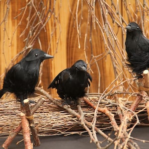 以下が含まれることがあります： 小枝と枝の巣に止まっている3羽の黒い装飾カラス。カラスはふわふわした質感で、木製の背景に配置されており、素朴で自然な美しさを生み出しています。ハロウィンや秋の装飾に最適です。