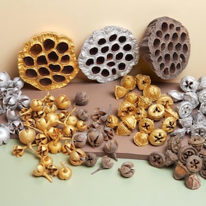 Torkade lotusblad och eukalyptusfrukter: DIY-material, heminredning