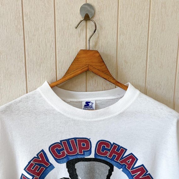 1990年代 旧ロゴ / since 1963 / ヴィンテージ Vintage 1990s Colorado Avalanche T-shirt : NHL - Starter/ Size XL