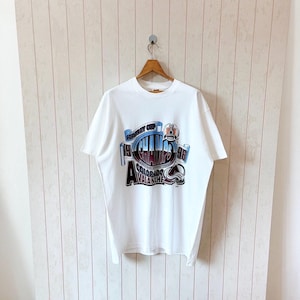 Vintage 90s Colorado Avalanche t-shirt/ vintage 1996 Avalanche NHL t-shirt/ vintage Fruit of the loom made in USA t-shirt/ size XL